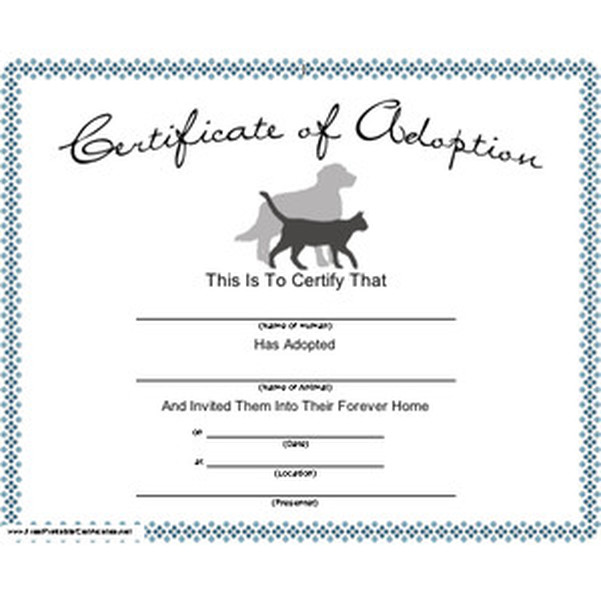 Adoption Certificate Pet Rock Adoption